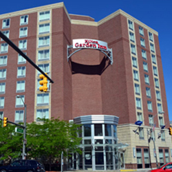 Hilton Garden Inn Detroit Downtown Detroit Airport Dtw